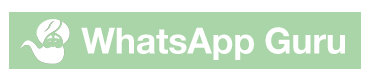 Whatsapp Guru