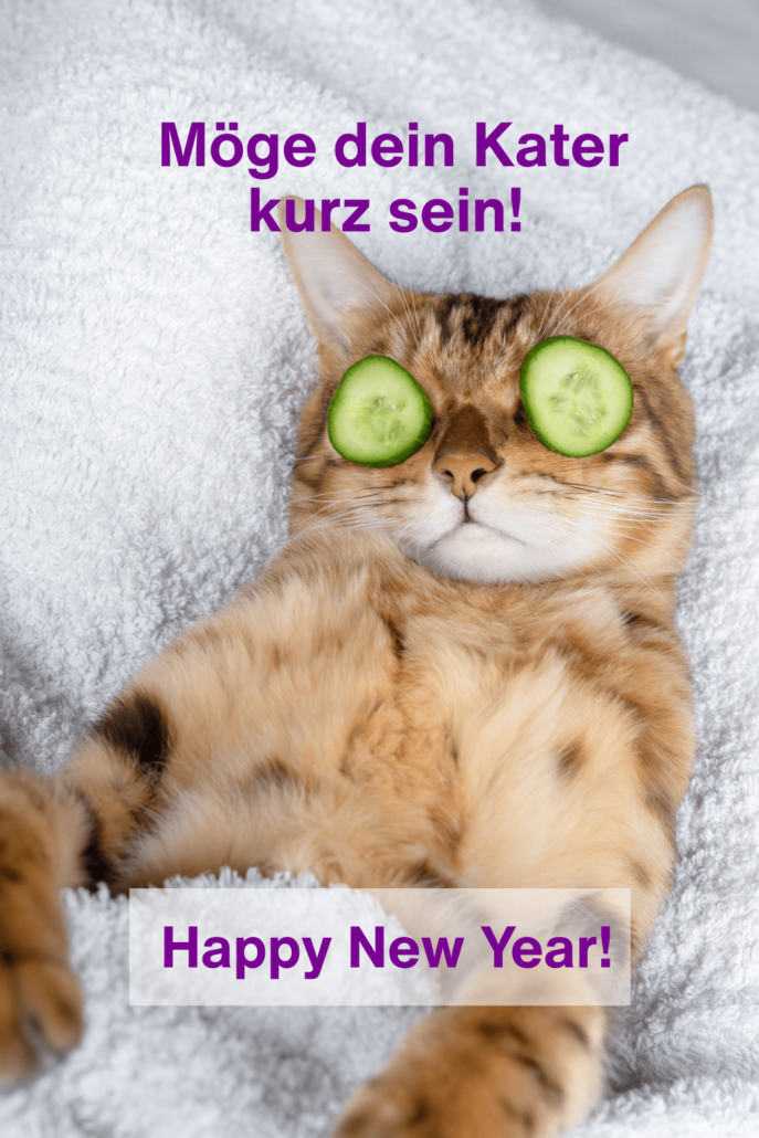 neujahrswünsche-whatsapp_5 Lustiger Neujahrswunsch: Möge dein Kater kurz sein